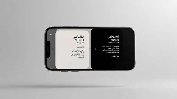 Translate iPhone Images Without Quality Loss